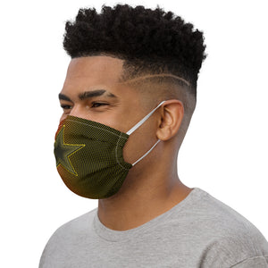 Premium face mask